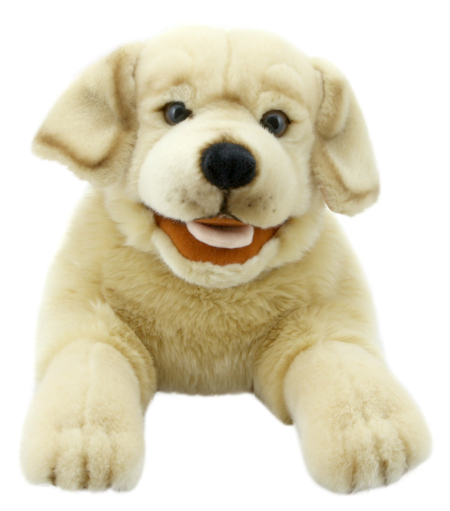 P457-PC003009-marionnette-Labrador-jaune-The-Puppet-Company-Playful-Puppies